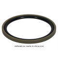 PTFE + Bronze Piston Seal para máquinas-ferramentas